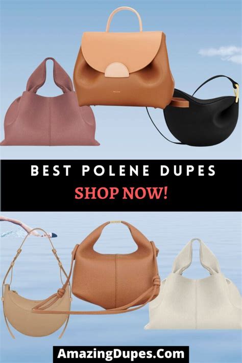 polene nodde bag dupe|polene luggage dupe.